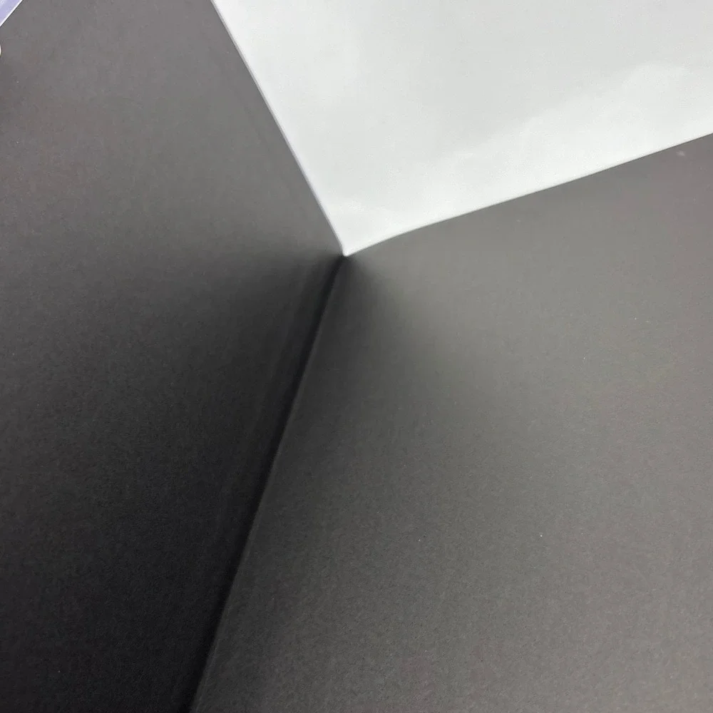 In Focus Auras‎ Your Personal Guide Book with Inch Wall Chart Joylina Goodings